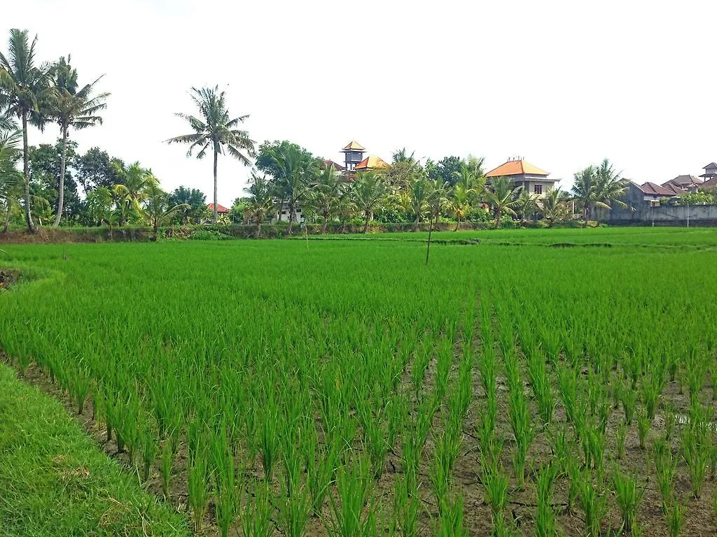 Rena House Ubud Homestay szállás